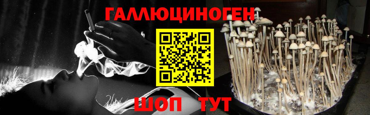 Метадон Лосино-Петровский